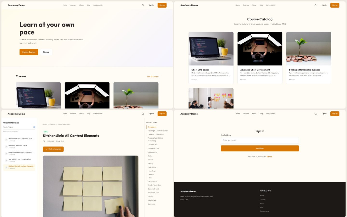 Academy theme — course catalog grid with lesson progress indicators